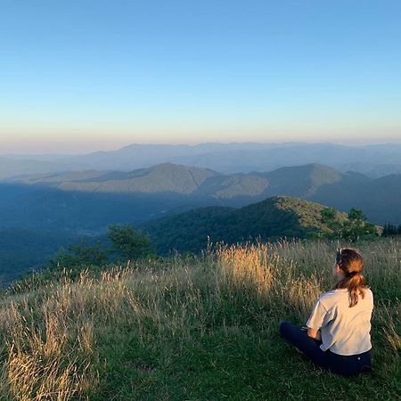 Swiss Wolf Ridge Retreat 빌라 외부 사진
