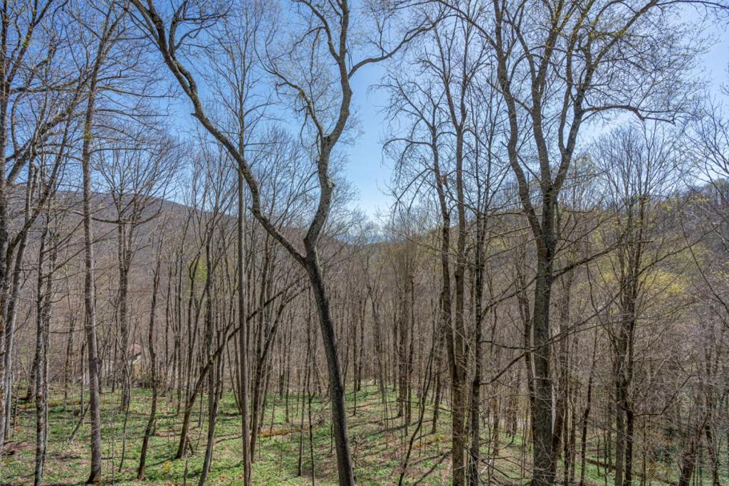 Swiss Wolf Ridge Retreat 빌라 외부 사진
