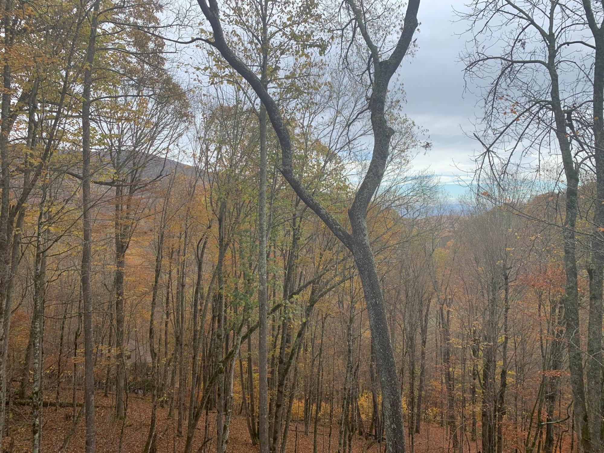 Swiss Wolf Ridge Retreat 빌라 외부 사진